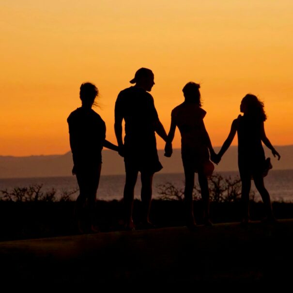 Family holding hands